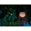 Lucide 06801/01/97 - LED Stmievateľná lampa FJARA LED/0,3W/3,7V USB IP44