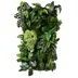 Vertical garden Funky Monkey