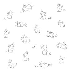 Detská tapeta 10 m x 50 cm Bunnies In The Countryside – Lilipinso