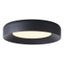 LED Stropné svietidlo LED/40W/230V 3000K čierna pr. 50 cm