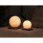 Tmavohnedá LED stolová lampa z orechového dreva (výška 13 cm) Smart LunaSpin – Gingko