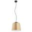 Argon 4690 - Luster na lanku BERKLEY 1xE27/15W/230V