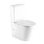 WC Kombi Hass Rimless s doskou voľne padajúca vírivé preplachovanie