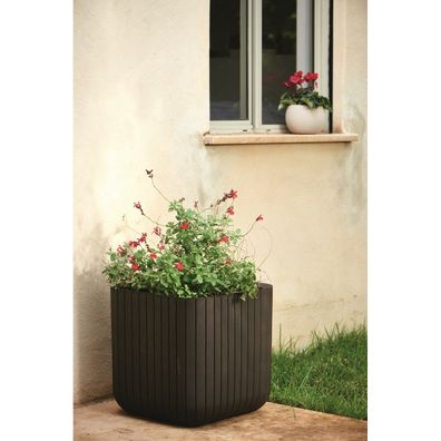 Keter Plastový kvetináč Cube planter M hnedá, 30 x 30 x 30 cm
