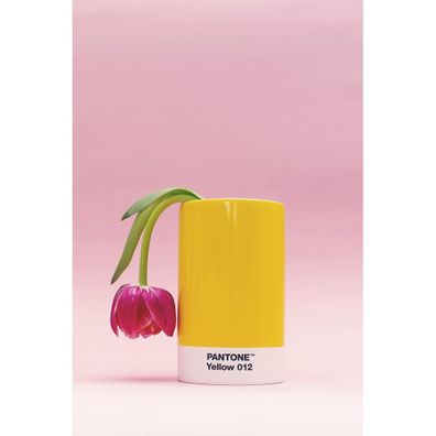Keramický organizér na písacie potreby Light Pink 182 – Pantone